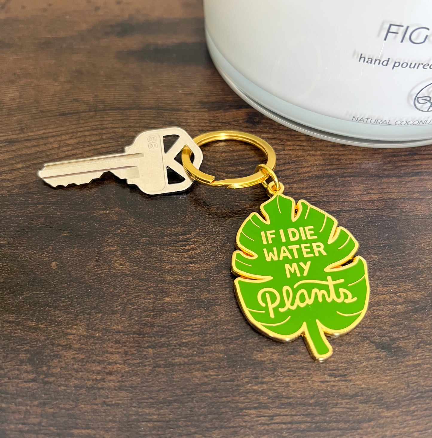 Water my plants keychain