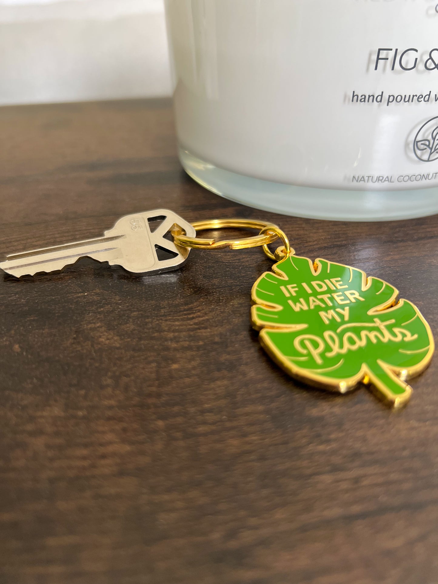 Water my plants keychain