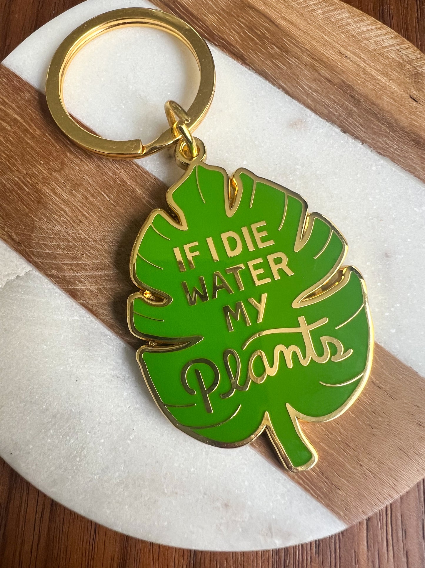 Water my plants keychain